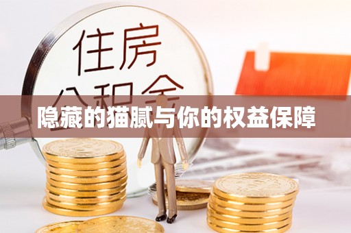 察右后旗隐藏的猫腻与你的权益保障