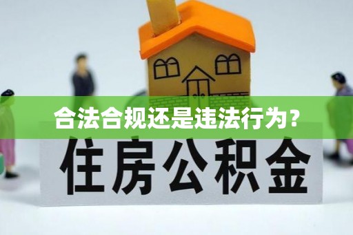 察右后旗合法合规还是违法行为？
