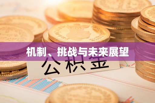 察右后旗机制、挑战与未来展望